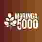 Moringa 5000 logo